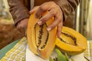 Farmers in Tunisia switch to 'drought-friendly' crops - Source: Getty